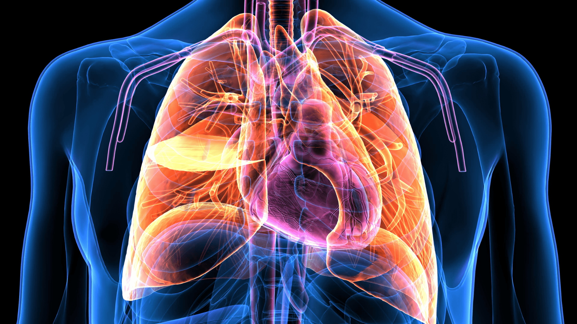 Illustration représentant l'insuffisance respiratoire et ses effets sur les poumons et la respiration.