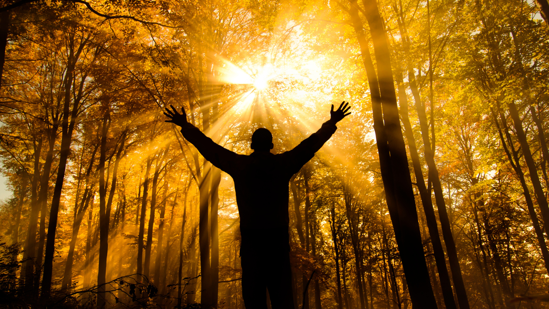 Un homme lève les bras dans une forêt baignée de lumière, incarnant le Samadhi, un état d'unité et de paix spirituelle.